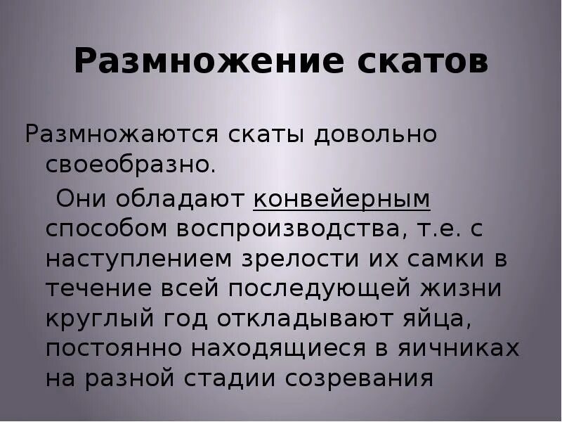 Как размножаются скаты. Размножение скатов кратко. развитие ската. электрические скаты размножение.