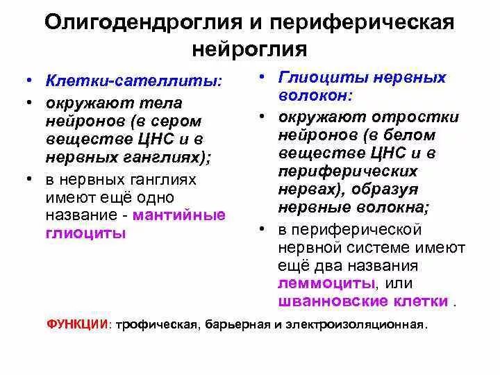 Сателлиты гистология. Сателлиты гистология