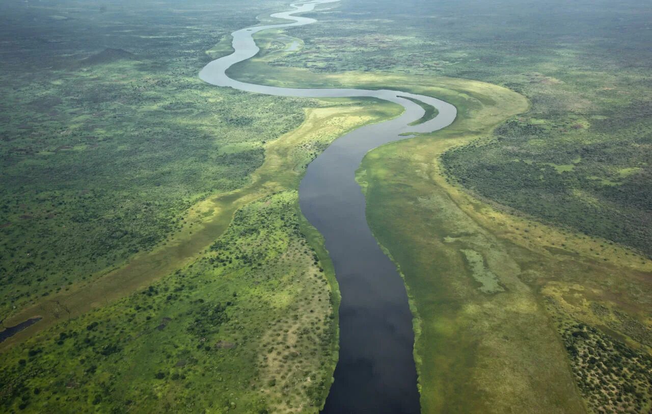 Africa river. Национальный парк Кагера.