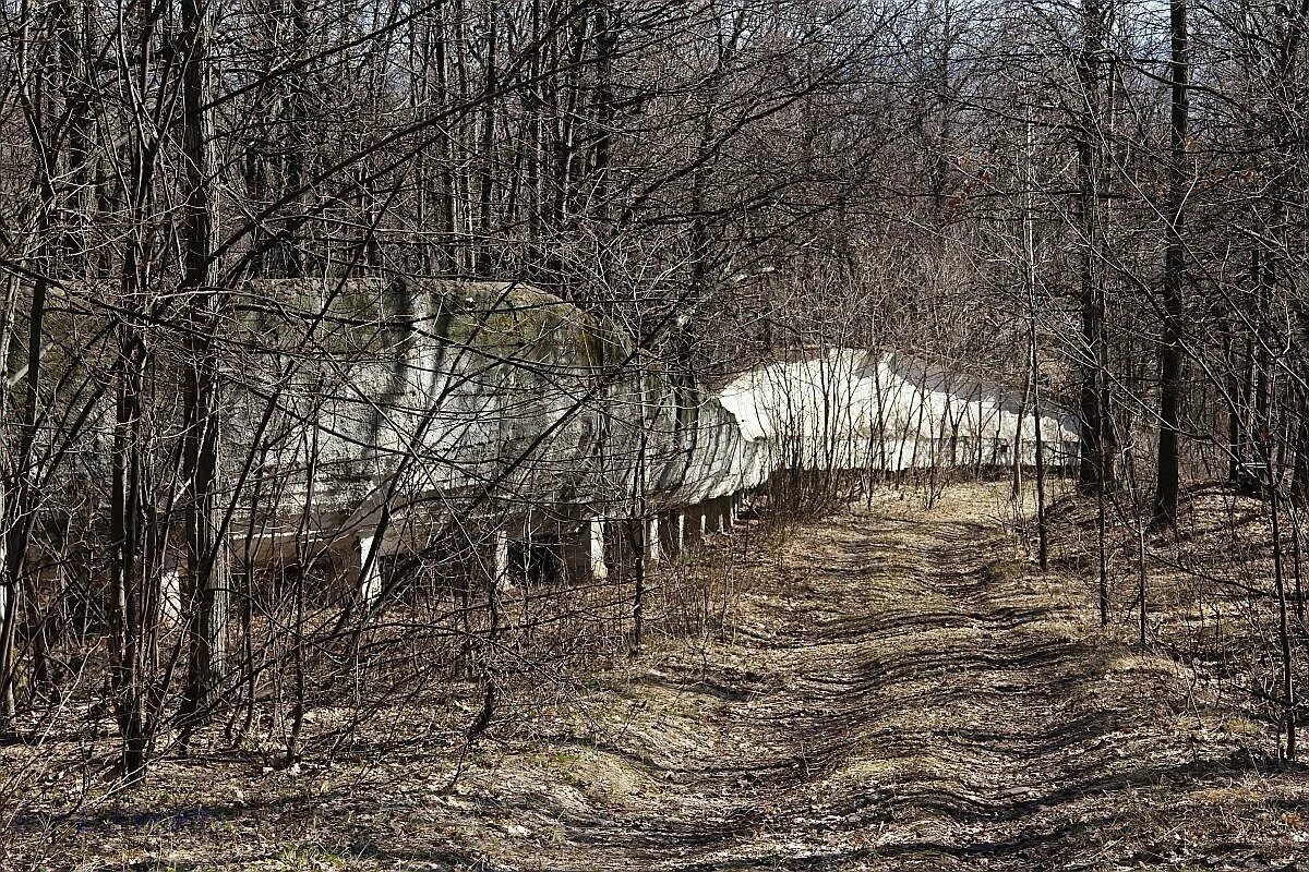 Санно бобслейная трасса Красноярск. Бобслейная трасса в Мелеузе. Бобслейная трасса в Туманчино Мелеузовский район. Заброшенная бобслейная трасса.