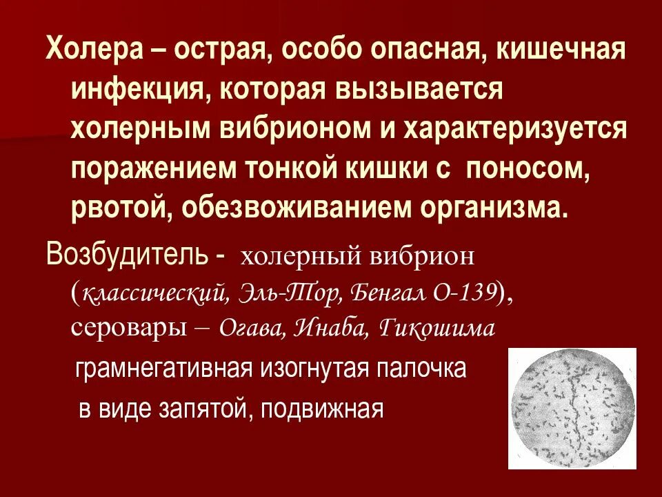 Источником инфекции при холере является. Особо опасные инфекции холера. Чума особо опасная инфекция. Особо опасные инфекции чума холера Сибирская язва натуральная оспа. Особо опасные инфекции натуральная оспа холера.