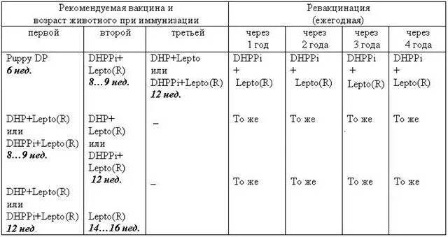 Схема прививок Нобивак для щенков. Календарь прививок для щенков Нобивак. График прививок щенкам до года Нобивак. Схема вакцинации Нобивак для щенков с 2 месяцев.