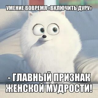 Вспылить