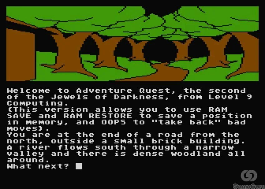 Текстовые компьютерные игры. Colossal Cave Adventure игра. Первые компьютерные игры текстовые. Текстовая игра. Caves adventures