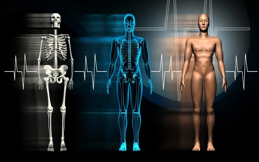 Тело управляет человеком. Тело человека электричество. Сканирование человеческого тела. Культивация человеческого тела. Просканируй человеческое тело.