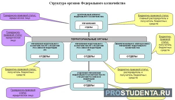 Структура федерального казначейства 2022. Казначейство схема. Органы казначейства. Задачи органов федерального казначейства. Центральное федеральное казначейство