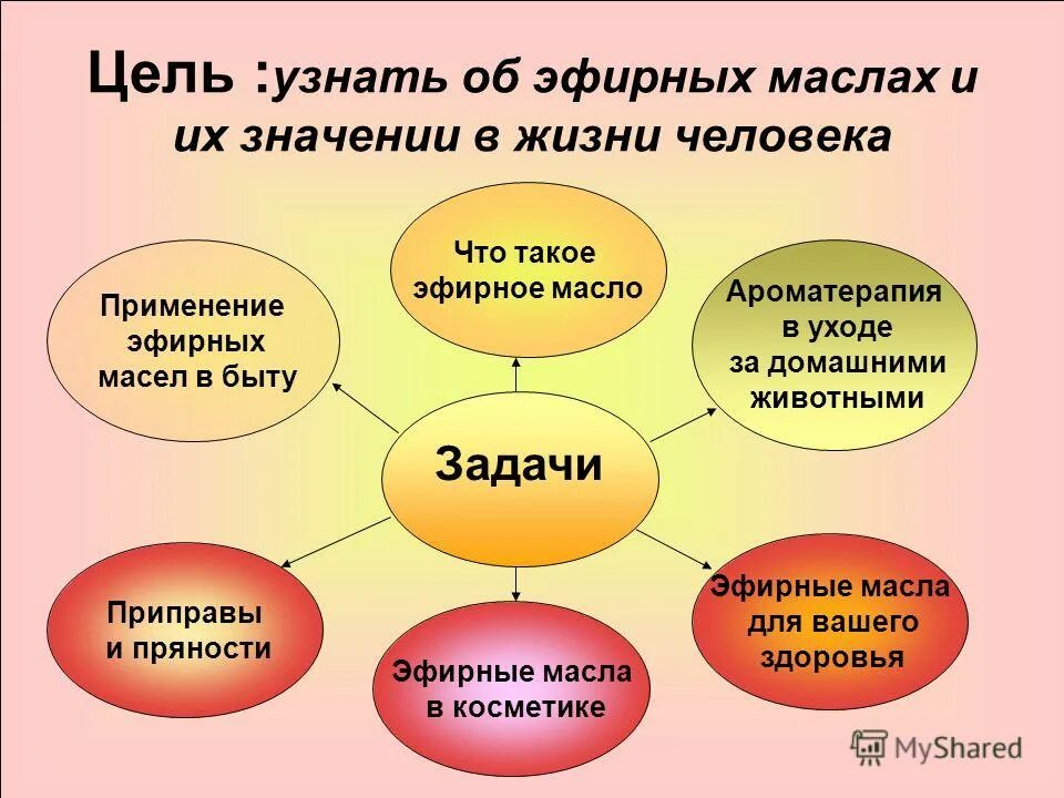 Схема воздействия эфирных масел на организм. Значение использования эфирных масел. Влияние эфирных масел на организм человека таблица. Воздействие эфирных масел на организм человека.