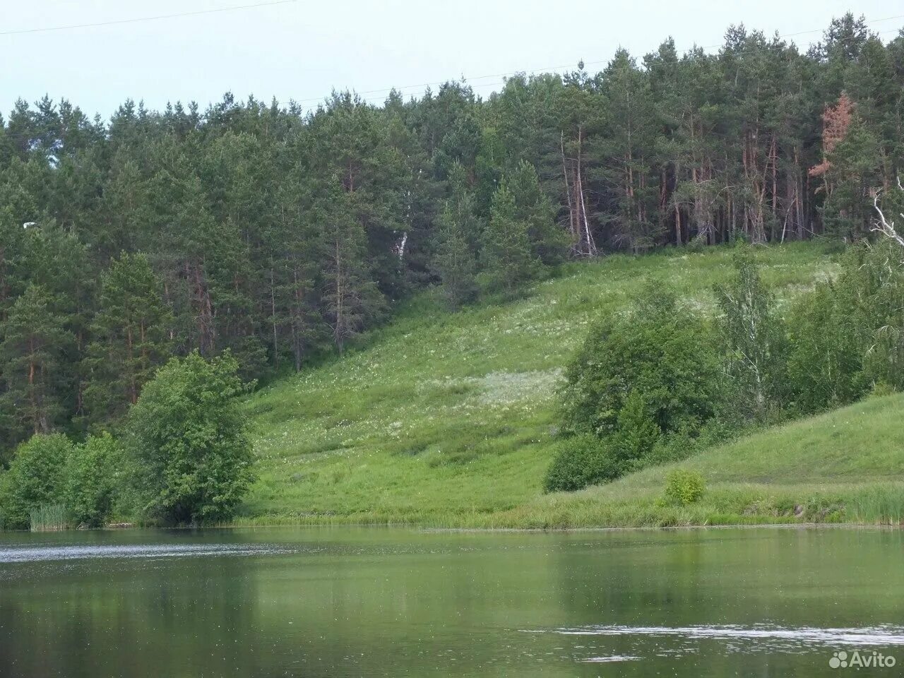 Новый буян самарская область купить. Озеро Студеное новый Буян. Озеро Студеное Самарская область новый Буян. Поселок в Самарской области новый Буян. Лес новый Буян Самарская область.