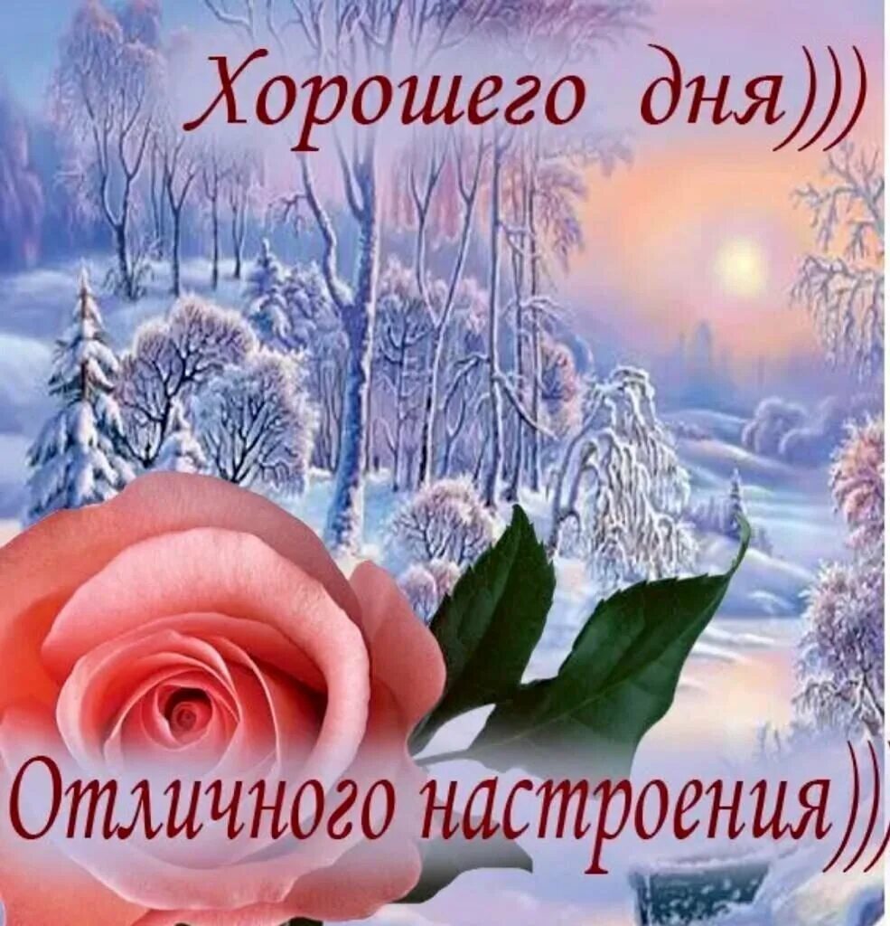 Открытка зимняя. Яркого зимнего дня и хорошего настроения. Открытки с добрым зимним днем. Хорошего дня зима. Замечательного зимнего дня и отличного настроения.