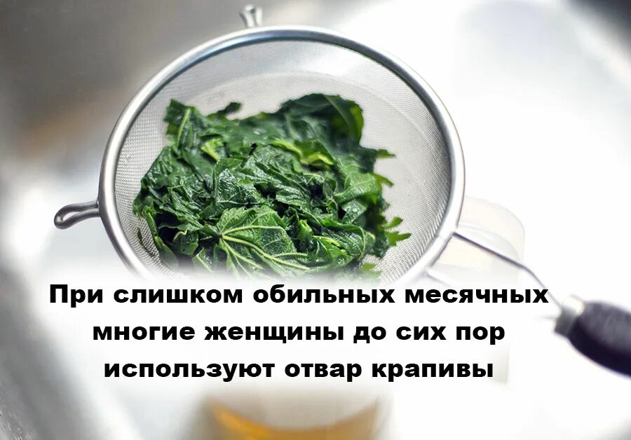 Какую траву при месячных