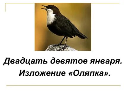 Русский язык 2 класс изложение оляпка