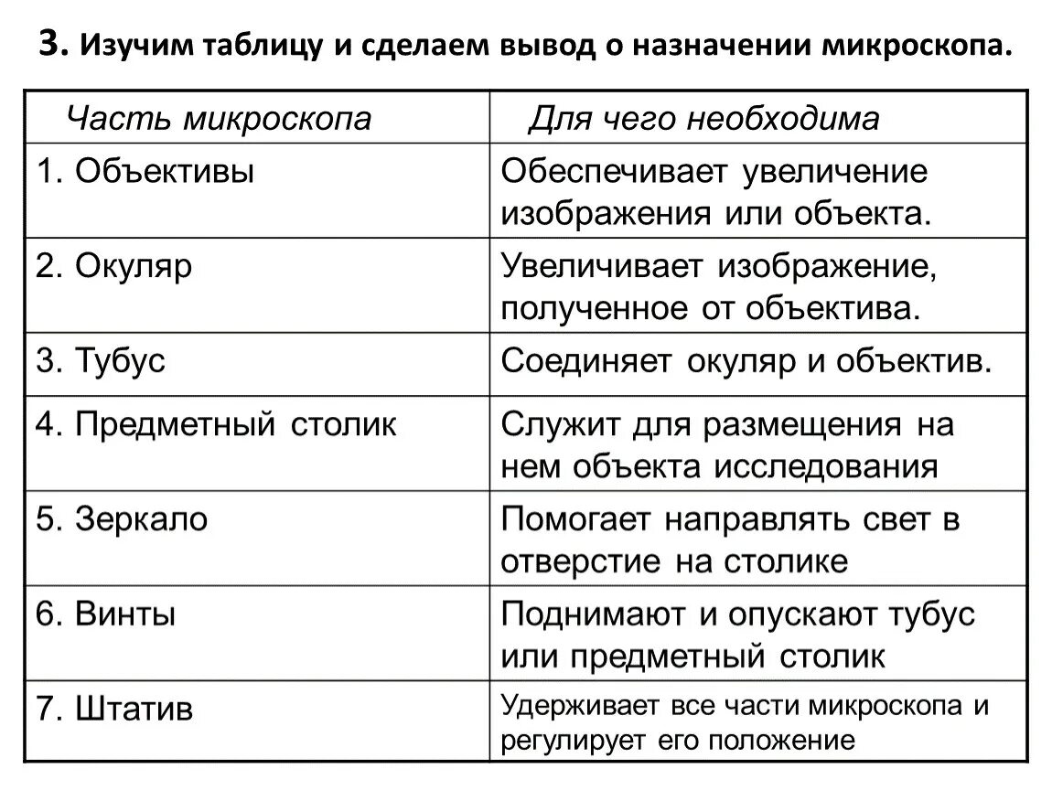 Какую функцию выполняет тубус в микроскопе. Таблица 1 части микроскопа. Назначение частей микроскопа. Строение микроскопа объектив функция. Части микроскопа 5 класс биология таблица.