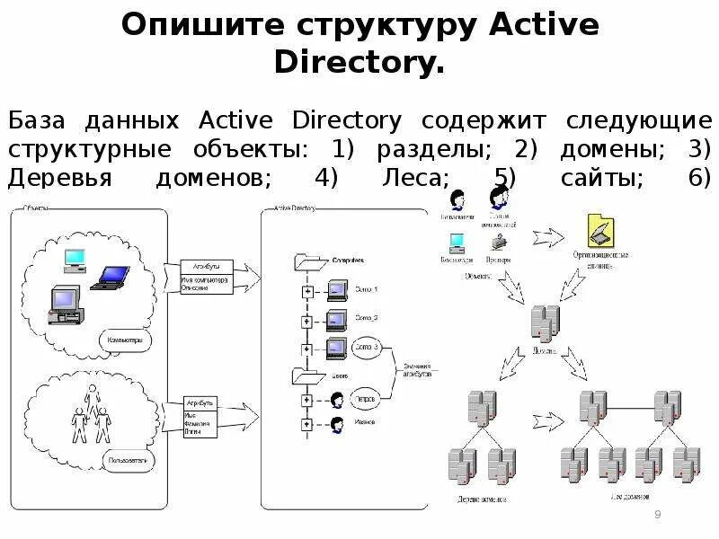 Структура ad Active Directory. Доменная структура Active Directory. Дерево доменов Active Directory. Схема леса Active Directory.