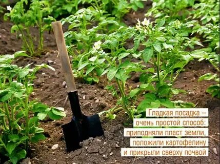 Гладкая посадка