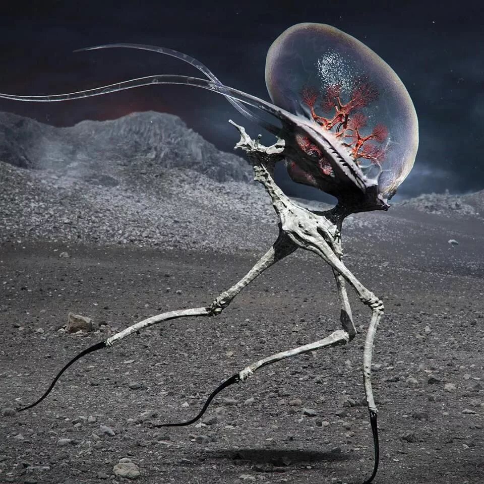 Clam Lobster by Der-Reiko on deviantART Beast creature, Alien creatures, Alien c