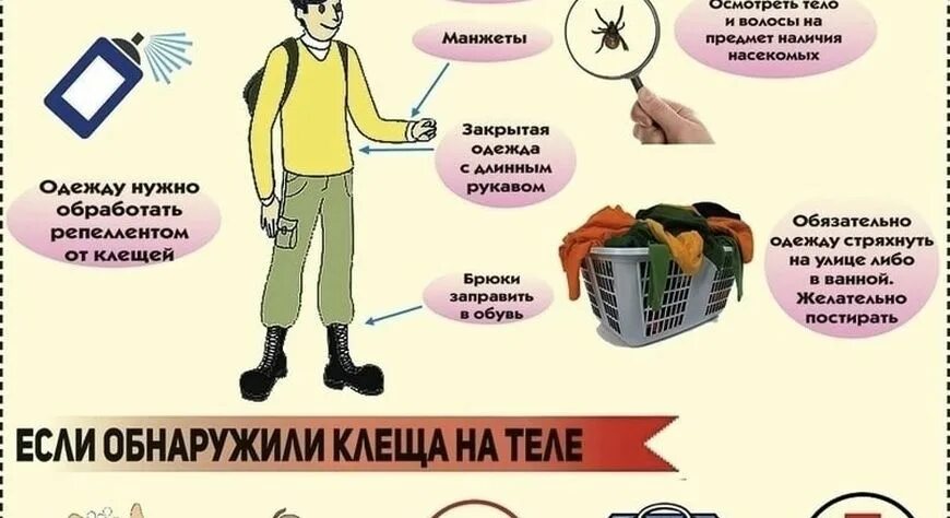 Как защититься от осы
