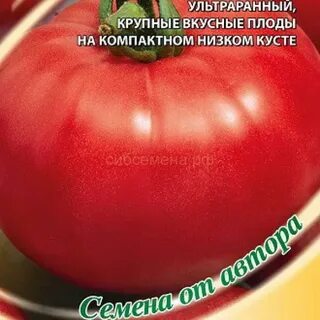 Красный петух томат описание отзывы