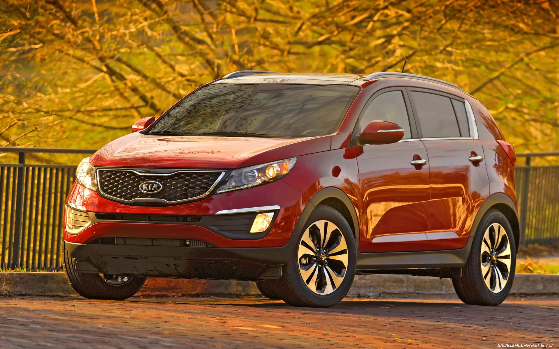 Купить киа в белоруссии. Kia Sportage 2011. Киа Спортейдж 2011. Джип Киа Спортейдж. Kia Sportage SX.