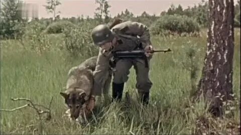 Немцы про партизан