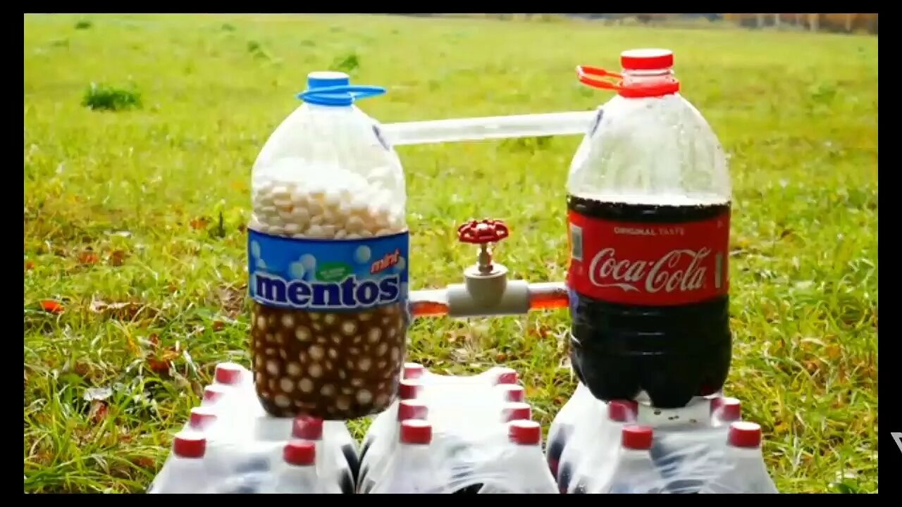Опыты с кока колой и ментосом. Опыт кола и ментос. Кола с ментосом. Кока кола и ментос. Кока кола и ментос.