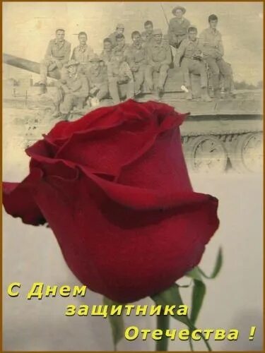 23 февраля всем женщинам подарившим жизнь сыновьям. Открытка с 23 февраля с розами. поздравление 23 февраля розы. с 23 февраля цветы женщине. с днем защитника отечества с цветами.