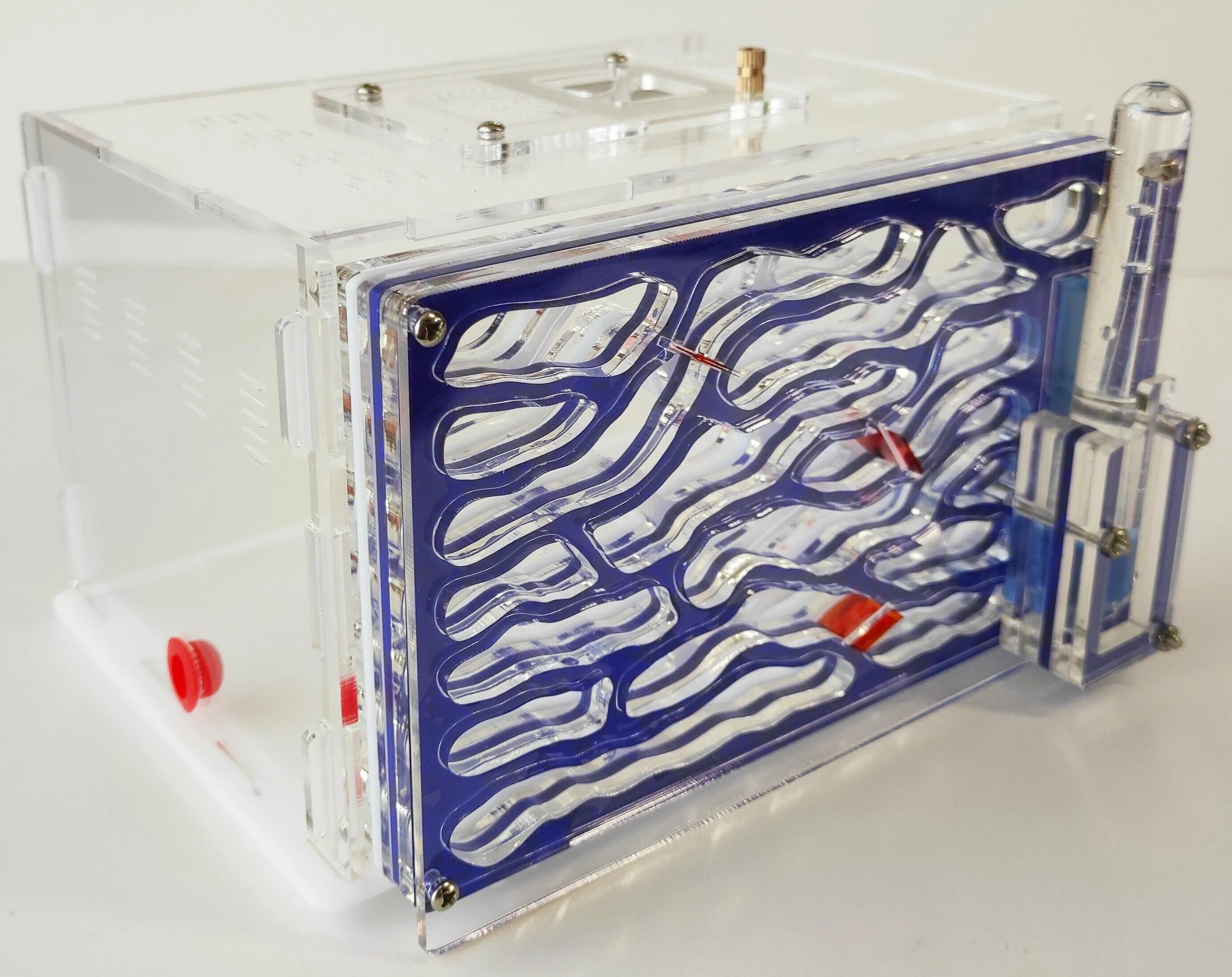 Муравьиная ферма — anthill африка стандарт. Ant city. Ант сити муравьиная ферма. Покажи муравьиную ферму. Ant city.