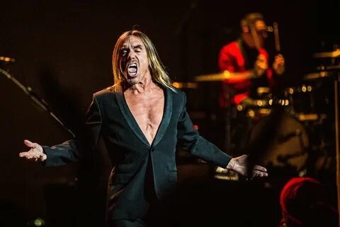 Iggy pop википедия