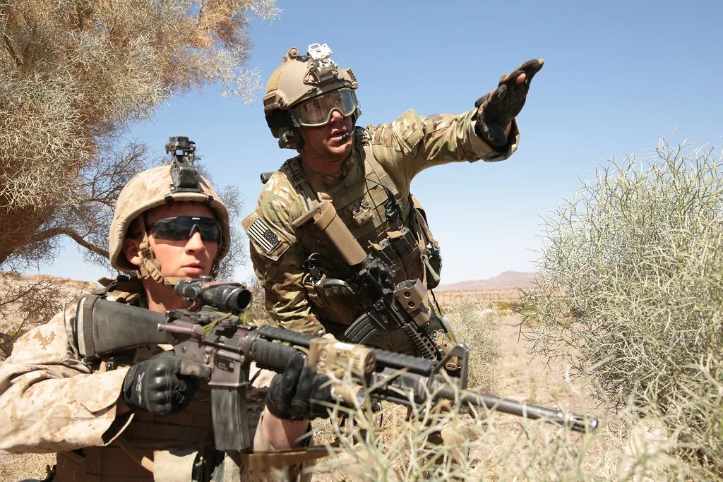 Army force us