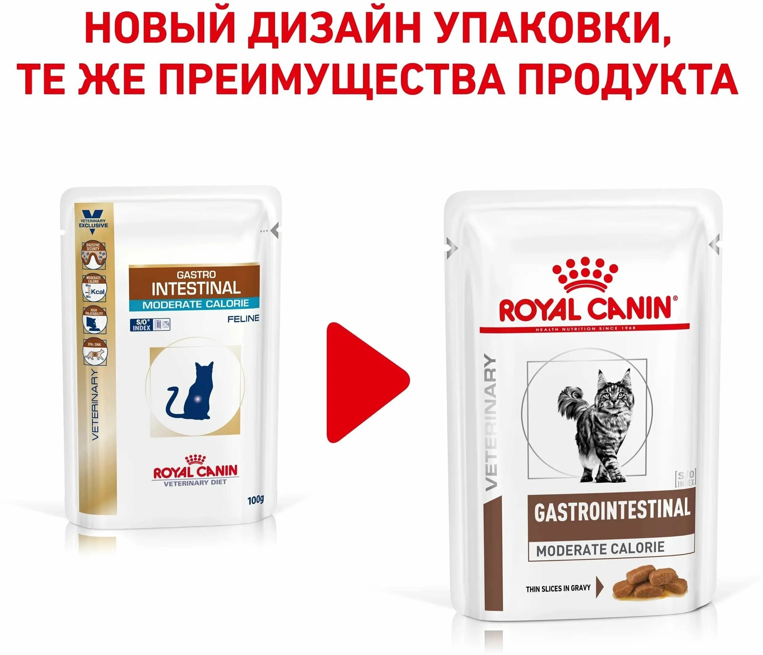 Royal canin gastrointestinal для кошек сухой. Royal Canin Gastrointestinal moderate Calorie для кошек. Royal Canin moderate Calorie. Роял гастро Интестинал. Корм гастро Интестинал для кошек влажный.