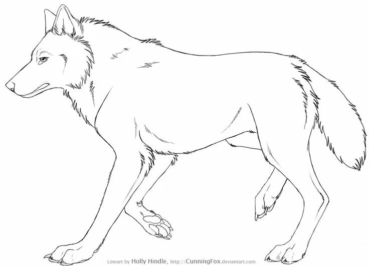 FREE Wolf Line Art by Ooupoutto on DeviantArt in 2023 Line art, Art, Wolf
