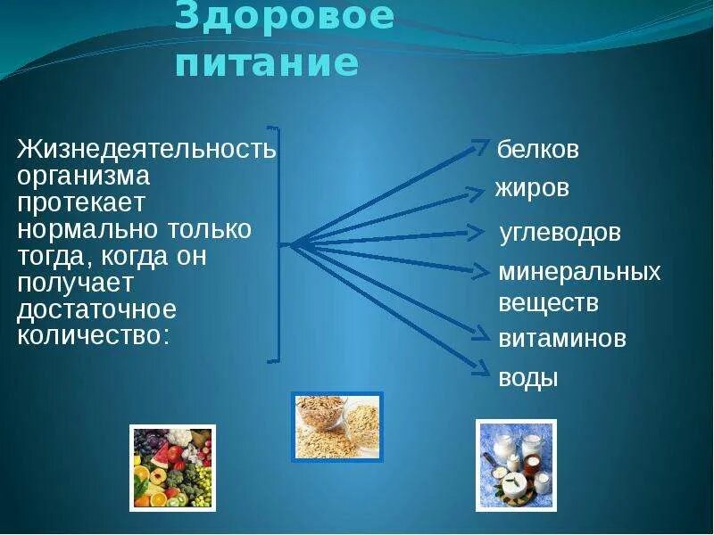 Тест биология жизнедеятельность организмов. Жизнедеятельность организмов. Питание жизнедеятельности организмов это. Жизнедеятельность организмов 6 класс. Роль питания в жизнедеятельности человека.