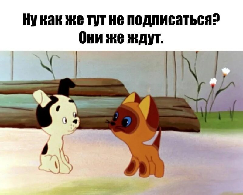 мемы про трех друзей. мы же друзья мемы. мем желание. три дебила переглядываются. забавные ситуации.