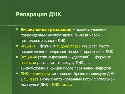 1 репарации