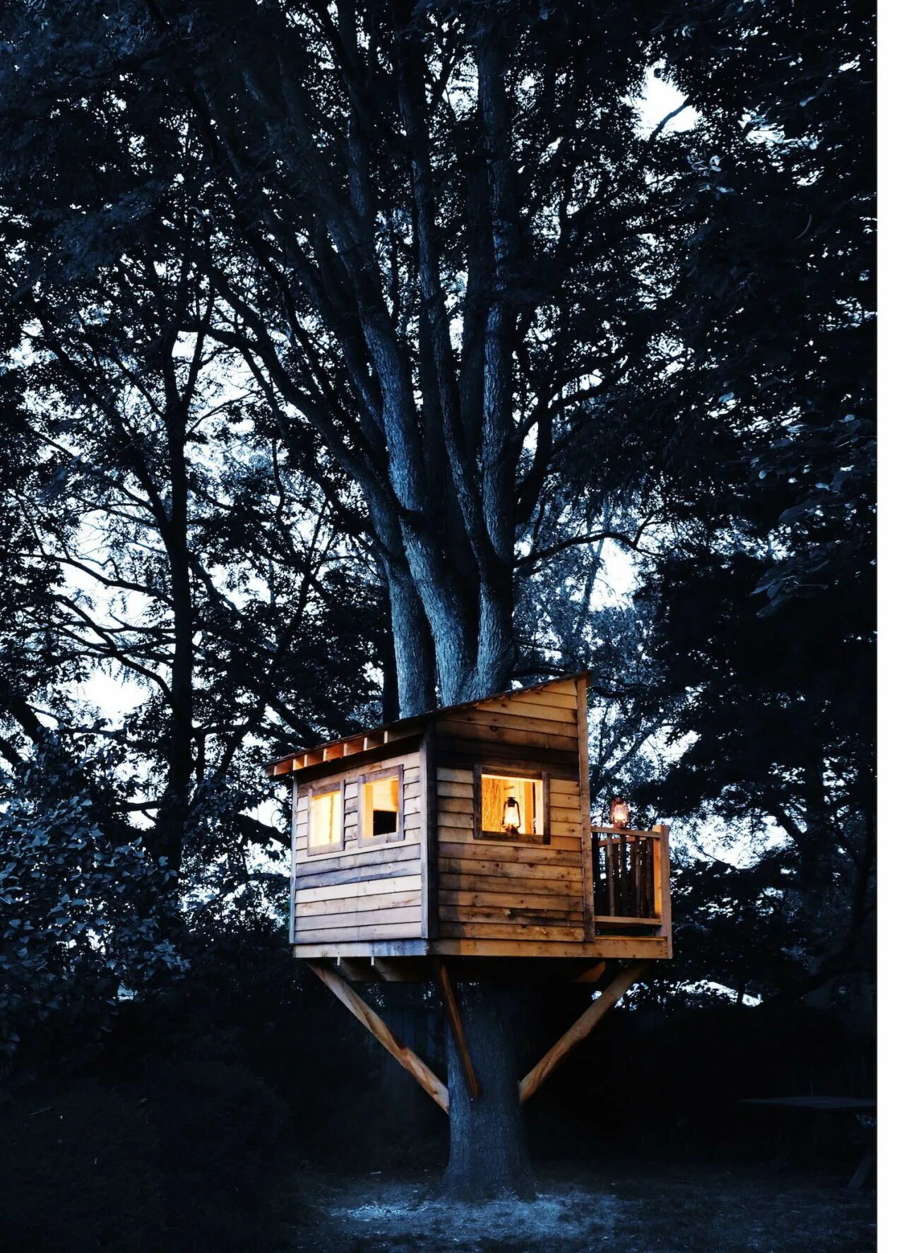 Make a tree house