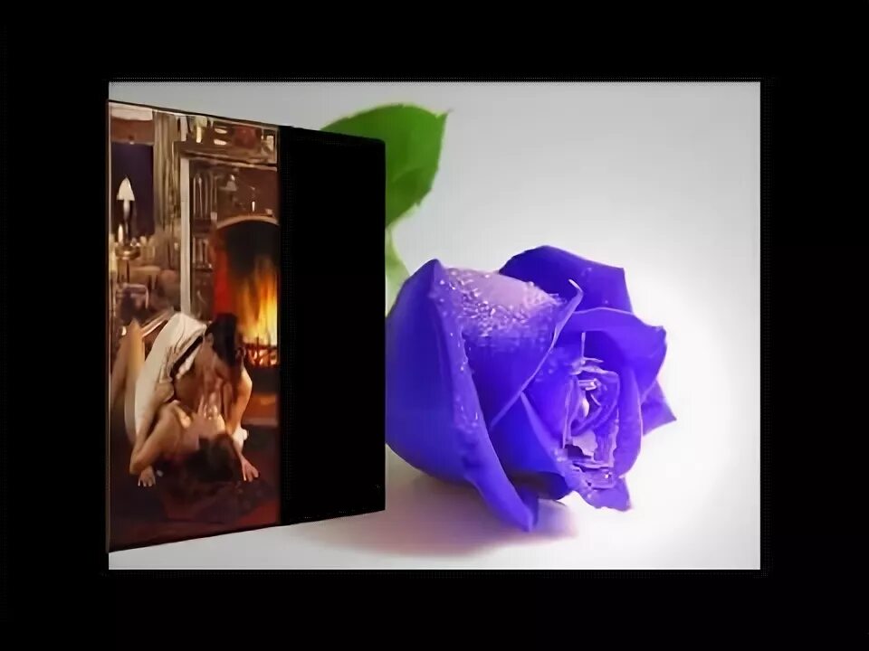 Шалов хусейн нальчик. Шал хусейн. Казахский фильм шал. Шал повелитель волков. Фильм шал повелитель волков.