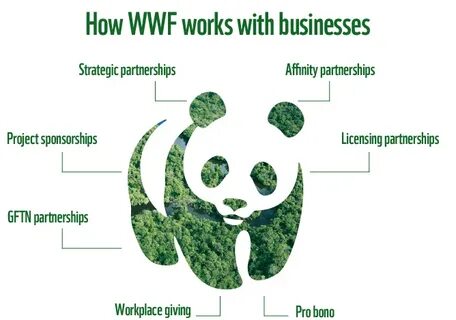 The world wildlife fund is