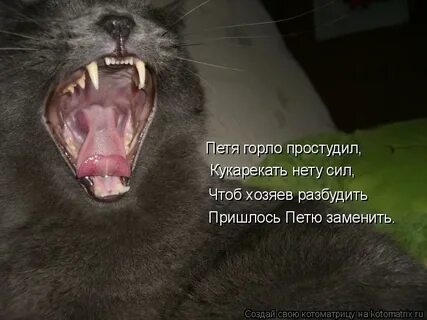 Вместо пети