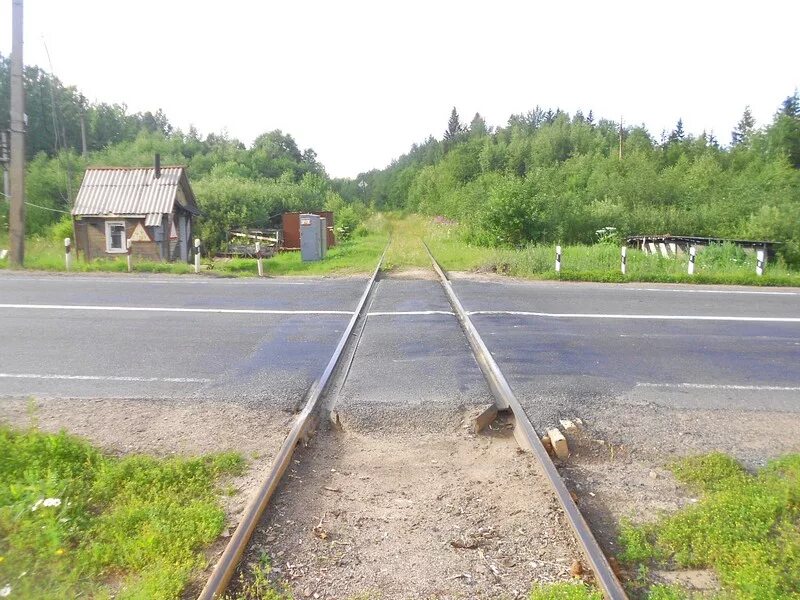 Рп5 неболчи. Неболчи станция ЖД. Поселок Неболчи. Дорога Будогощь Неболчи. Неболичи станция Неболчи.