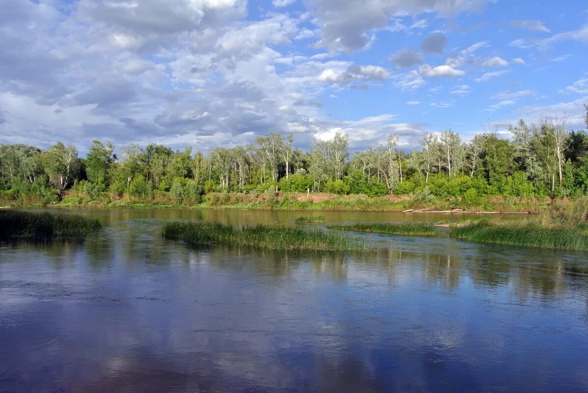 Погода в селе сакмара на 10 дней. Село сакмара оренбургская. Оренбургская область сакмарский район село сакмара. Погода в саках на неделю. Погода в селе сакмара на 10 дней.