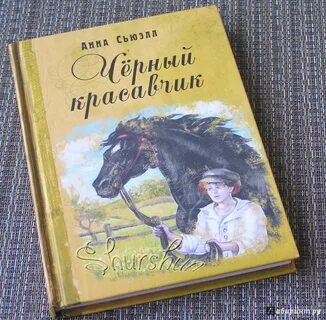 Черный красавчик