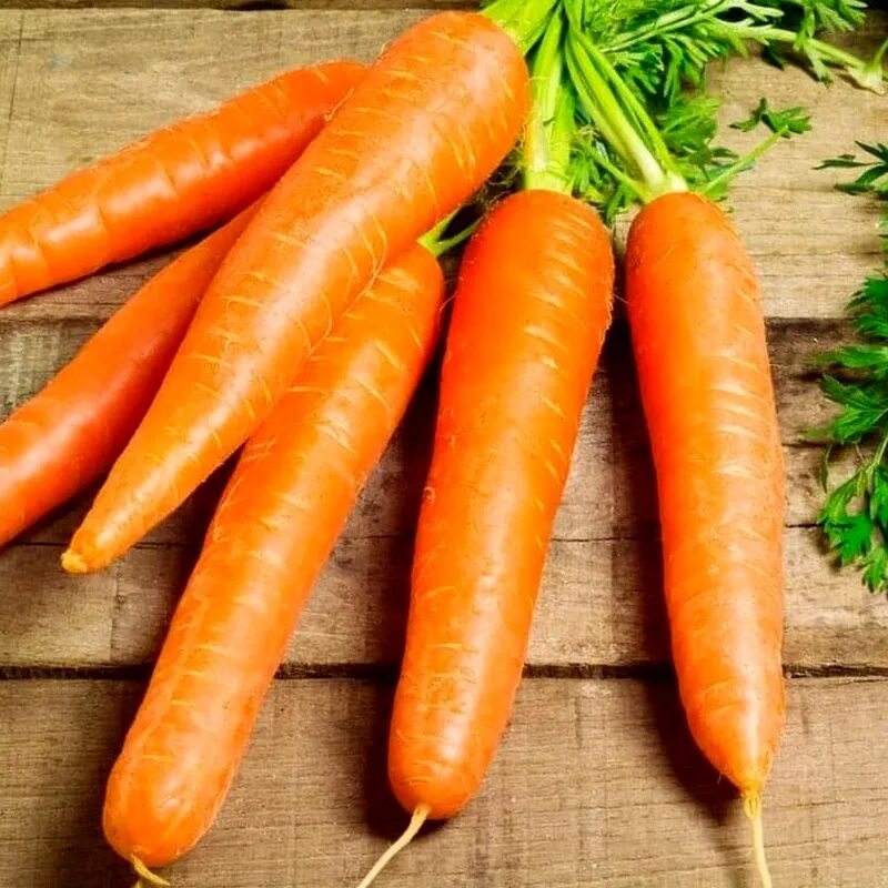 Семена моркови гавриш осенний король 2 гр. Король осени морковь. Морковь осенний король 2 г. Морковь королева осени седек. Морковь осенью.
