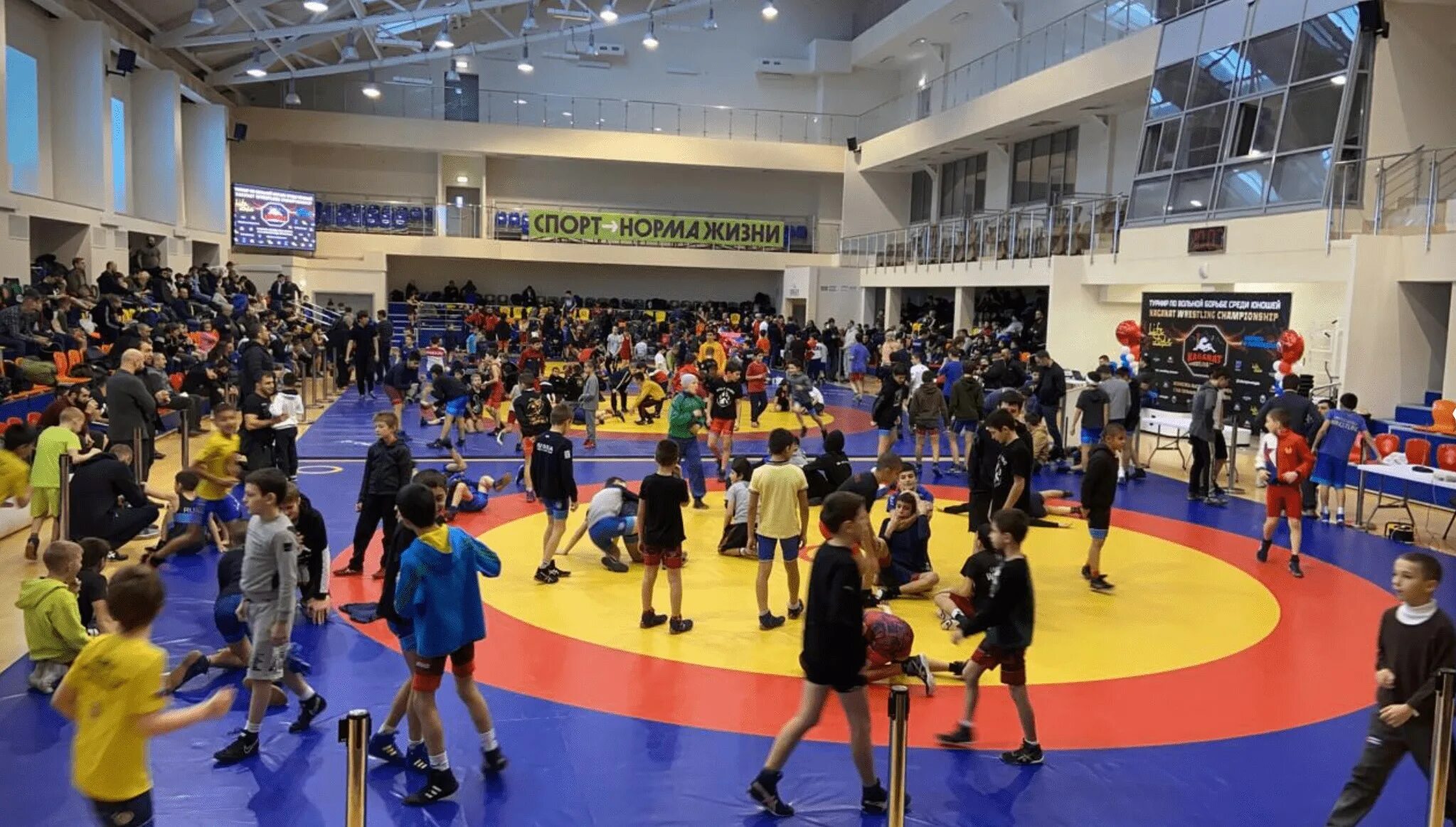 Борьба мытищи. Карибов аму карибович вольная борьба. Борьба мытищи. Зал греко-римской борьбы в мытищах. Зал по греко римской борьбе в солнечногорске.