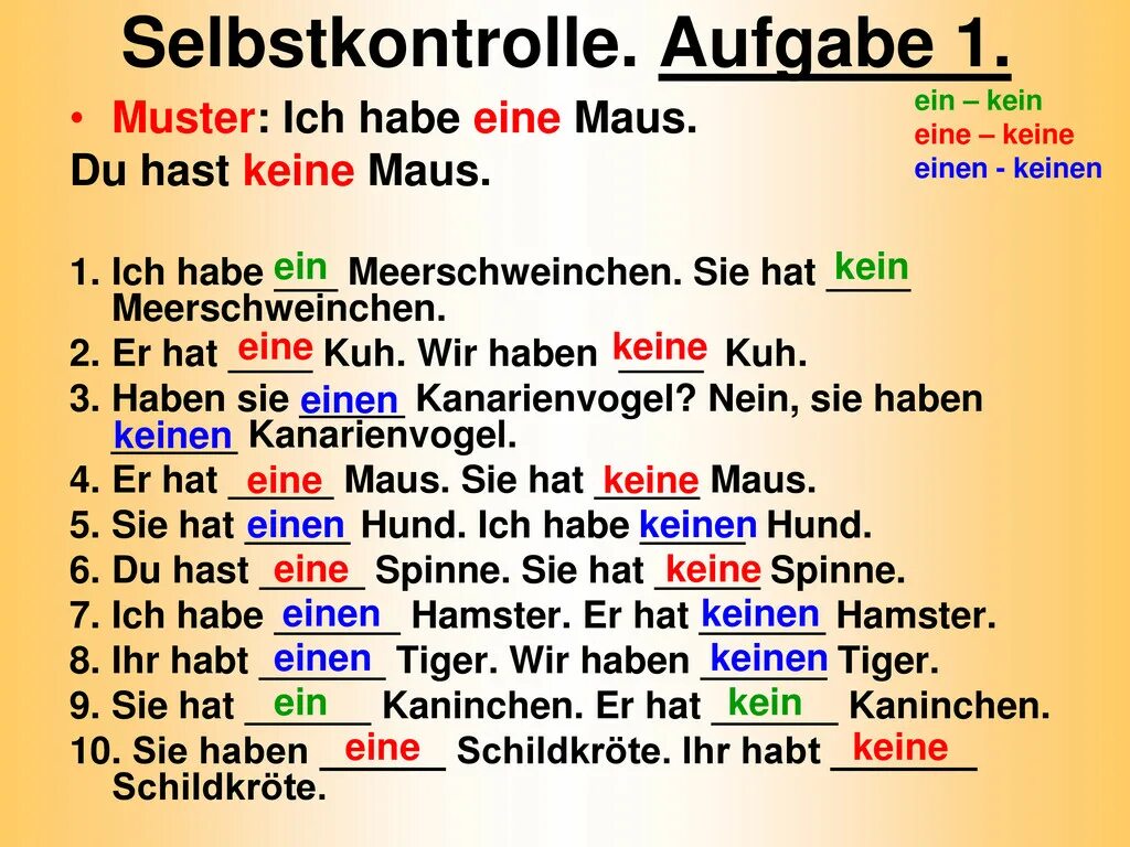 5 ist eine. Ein и eine в немецком языке. Ein eine einen в немецком языке. Вопросы в немецком языке упражнения. Уроки на немецком языке.