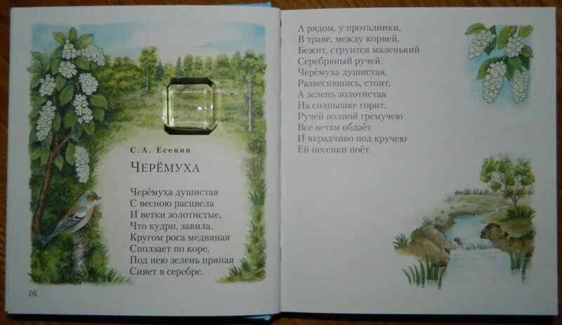 Бежит струится маленький серебряный ручей. Стих бежит струится маленький серебряный. в траве между корней бежит струится маленький серебряный ручей стих. бежит струится маленький серебряный ручей есенин.