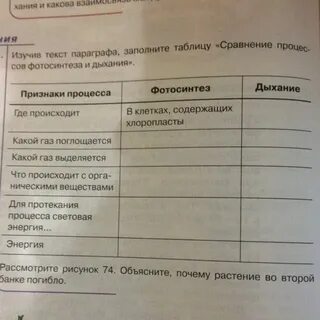 Используя рисунки параграфа