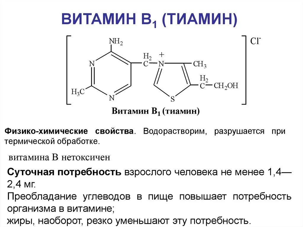 Витамин б1 строение. Витамин в1 структура. Химическая структура витамина в1. Витамин в1 тиамин формула. Витамин в 1 функции
