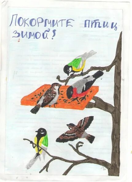 Берегите птиц берегите природу. Берегите птиц зимой. постер в защиту птиц. листовка в защиту зимующих птиц. плакат в защиту птиц.