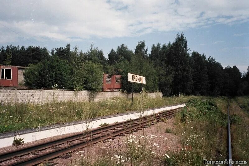 Станция Лесная МОЖД. МОЖД Лесная Береговая. Станция Береговая МОЖД. Станция Береговая Новосибирск.