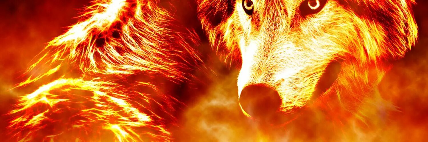 Разведи огонь джулия вольф. Фото огненного волка. Огненный волк с надписью. Волк арт. Разведи огонь вольф.