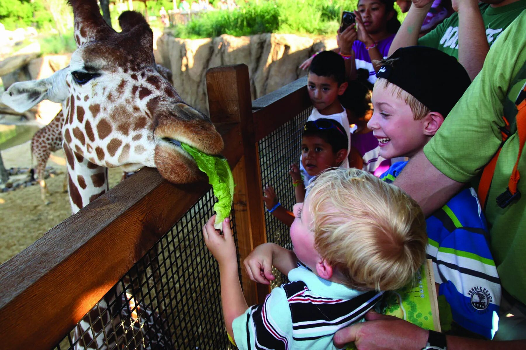 Zoo child. Экскурсия в зоопарк. Дети в зоопарке. Посетители зоопарка. Люди в зоопарке.